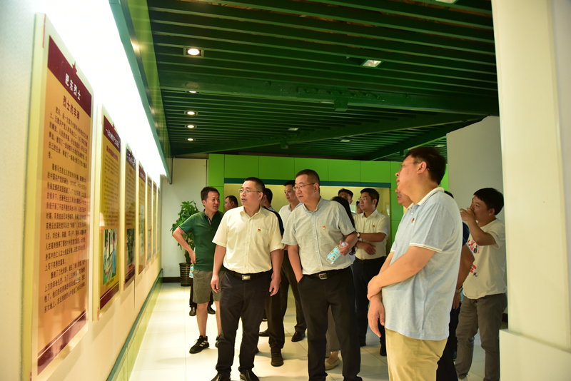 市政分公司黨總支、合肥市重點(diǎn)局直屬黨委第二黨支部聯(lián)合開展主題黨日活動3