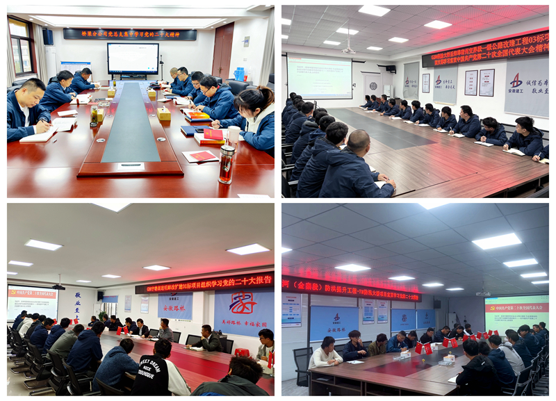 分公司黨總支學(xué)習二十大