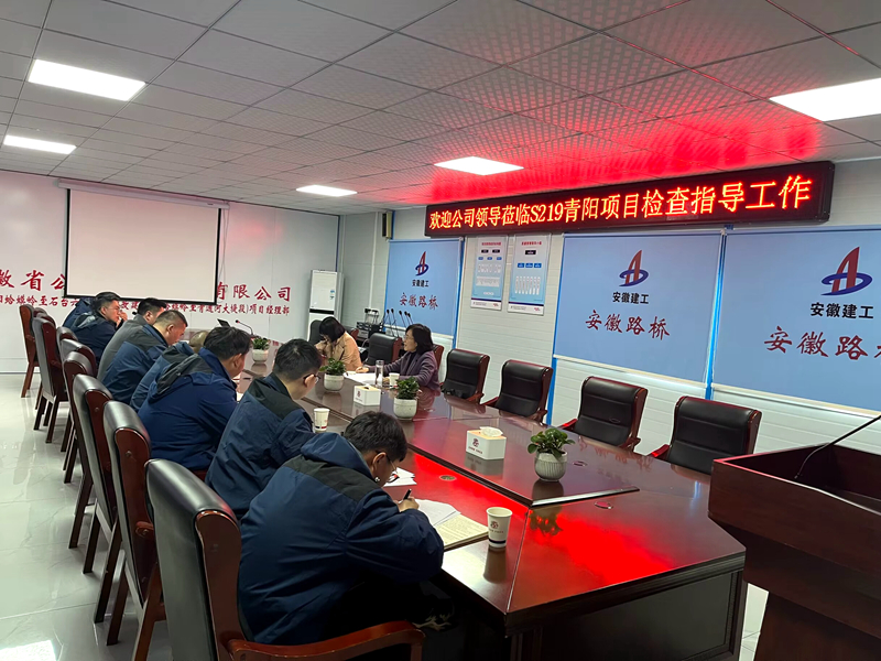 公司黨委委員、紀(jì)委書記王鵬到S219青陽(yáng)改建項(xiàng)目調(diào)研指導(dǎo)工作